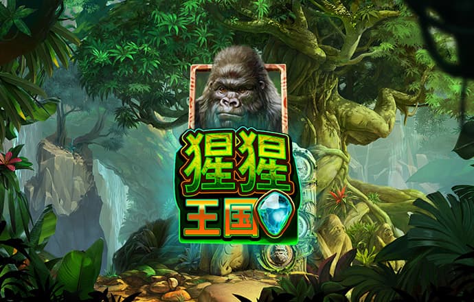 竞速体育下载app